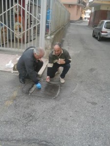 Disinfestazione in corso a Soverato