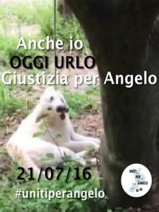 angelo