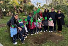 Soverato, Comune e Fidapa insieme per la Giornata dell’Albero.